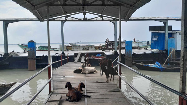 আমতলী-ঢাকা নৌ রুটে লঞ্চ চলাচল বন্ধে যাত্রী দুর্ভোগ!