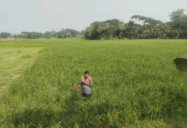 ফসলের ক্ষেতে কীটনাশক প্রয়োগে