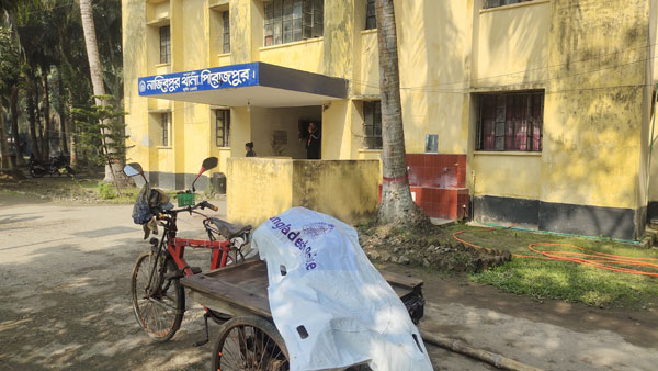 নাজিরপুরে নিজ গাড়ির চাপায় চালকের মৃত্যু