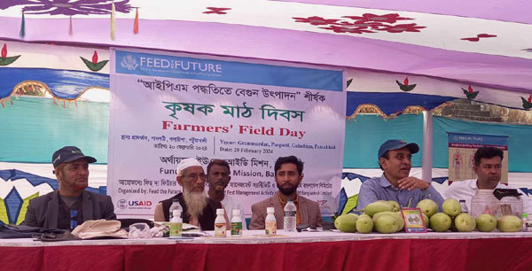 গলাচিপায় আইপিএম’র বেগুন চাষ শীর্ষক কৃষক মাঠ দিবস