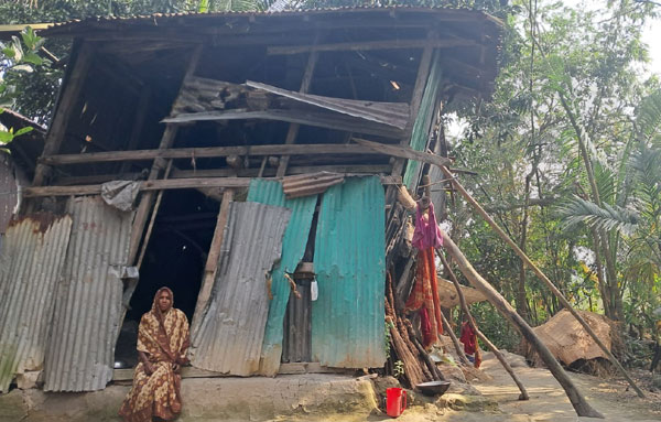 দুমকিতে প্রতিবন্ধি হরিবালা মাথাগোঁজার ঠাঁই চায়!