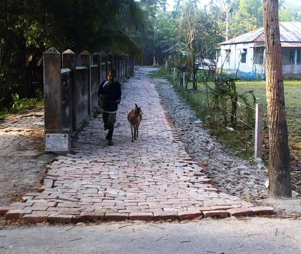 রাজাপুরে শত বছরের রাস্তা রক্ষার দাবি