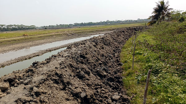 কলাপাড়ায় অবৈধভাবে খাল ভরাট দখলের অভিযোগ