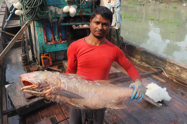 ইন্দুরকানীর জেলের জালে ধরা পরেছে ২০লক্ষাধিক টাকার মাছ!