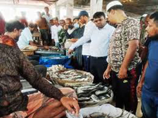 কাউখালীতে চার মাছ ব্যবসায়ির জেল- জরিমানা