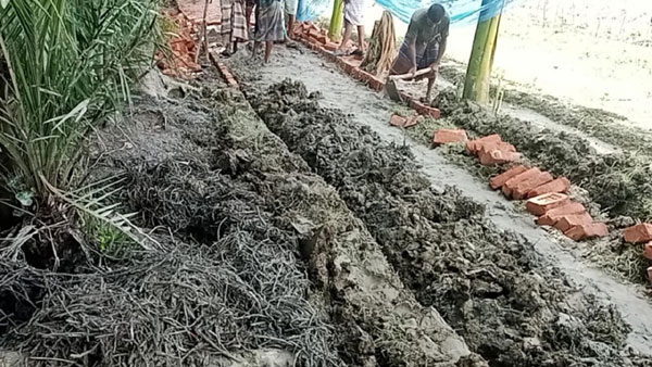 তালতলীতে কলাগাছ ও সীম গাছের ওপরে সলিং রাস্তা নির্মাণ!