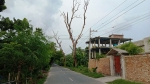 দেবহাটার রাস্তায় শুকনো গাছে প্রাণহানীর ঝুঁকিতে পথচারীরা!