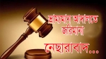 নেছারাবাদে নদীর তীরের মাটি কাটায় পাঁচ শ্রমিককে জরিমানা