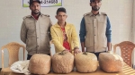 নেছারাবাদে ষোল কেজি গাজাসহ গ্রেফতার-১