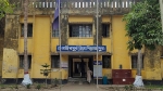 নাজিরপুরে গাছ থেকে পড়ে বৃদ্ধের মৃত্যু