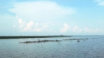 চরফ্যাশনে মেঘনা-তেতুলিয়ায় ডুবোচর, নৌ-যান চলাচলে ভোগান্তি
