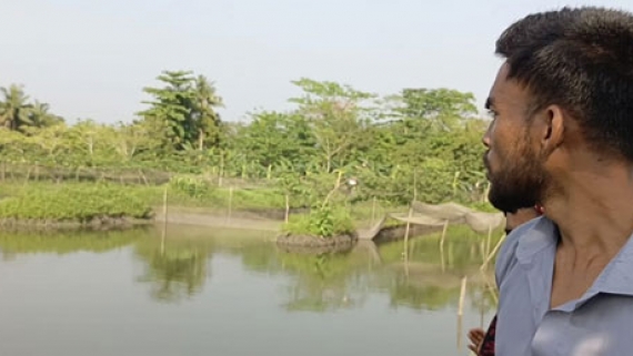 নাজিরপুরে ঘেরের মাছ লুটে নিল দুর্বৃত্তরা