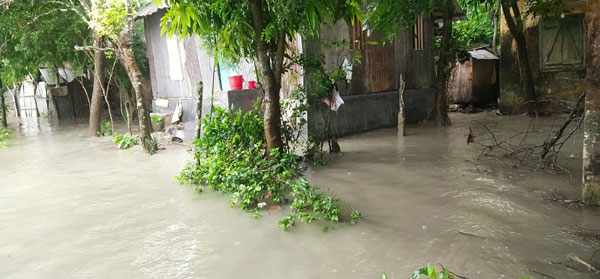 পিরোজপুরে বৃষ্টি ও জোয়ারের পানিতে নিম্নাঞ্চল প্লাবিত