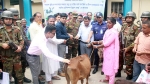 ফুলবাড়ীতে ৭০ক্ষুদ্র নৃ-গোষ্ঠীর মাঝে বকনা গরু বিতরণ