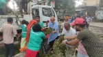 পিরোজপুরে বিশ্ব পরিবেশ দিবসে স্কুলের মজা পুকুর পরিস্কার