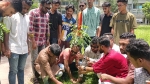 পিরোজপুরে ছাত্রদলের বৃক্ষরোপণ কর্মসূচি ‎