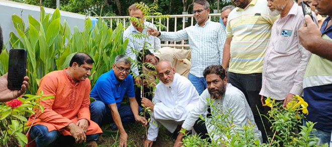 পিরোজপুরে বিশ্ব পরিবেশ দিবসে বিএনপি’র বৃক্ষরোপণ