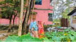 <small>আমতলী বকুলনেছা মহিলা ডিগ্রি কলেজ</small> লেকের জলাবদ্ধতা নিরসনে বাধা, শিক্ষকদের ধারালো অস্ত্র নিয়ে ধাওয়া