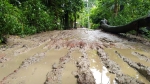 দুমকিতে টানা বৃষ্টিতে বেহাল তালুকদার হাট সড়ক!