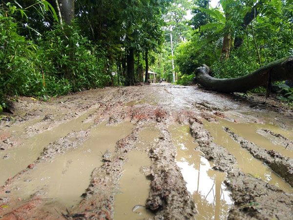 দুমকিতে টানা বৃষ্টিতে বেহাল তালুকদার হাট সড়ক!