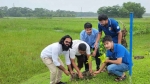 কলাপাড়ায় মাসব্যাপী বৃক্ষরোপণ কর্মসূচি শুরু