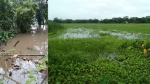 দুমকিতে টানা বর্ষণে নিম্নাঞ্চল প্লাবিত, ভোগান্তিতে হাজারো মানুষ