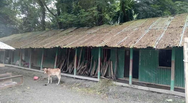 হনুফা নুরআলী বেসরকারি প্রাথমিক বিদ্যালয়টি একপ্রকার পরিত্যাক্ত অবস্থায় কোনমতে দাঁড়িয়ে আছে।