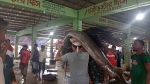 কুয়াকাটায় জেলের জালে বিরল পাখি মাছ
