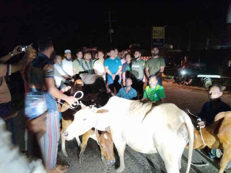 কলাপাড়ায় যত্রতত্র রাখায় ১৫ গবাদিপশু জব্দ