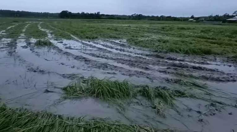 গলাচিপায় জমি দখল চেষ্টার অভিযোগ