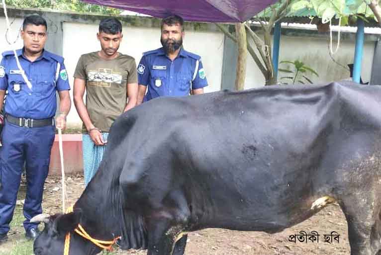 প্রতীকী ছবি