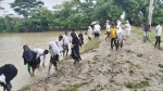 <small>উন্নয়ন বঞ্চিত জনপদ </small> শিক্ষার্থীদের প্রতিদিন কাদা মাড়িয়ে পৌঁছাতে হয় স্কুলে