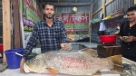 কুয়াকাটার মাছ বাজারে এক কোরাল বিক্রি ৩৩ হাজারে