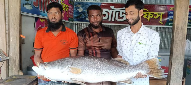 কুয়াকাটায় ২৪ কেজির কোরাল মাছ বিক্রি হলো ৩৬ হাজার টাকায়