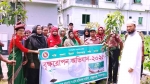 নেছারাবাদে আনসার ও ভিডিপি’র বৃক্ষরোপণ কর্মসূচি