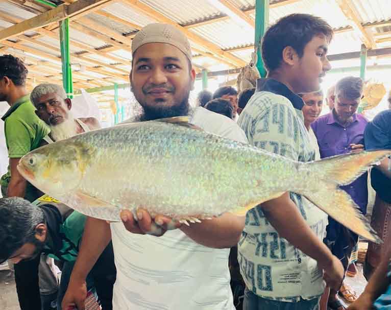 মহিপুরে এক ইলিশ বিক্রি ১৪ হাজার টাকায়!