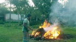 আগৈলঝাড়ায় মৎস্য অফিসে তোলপাড়, ২৫ চায়না দুয়ারী জব্দ