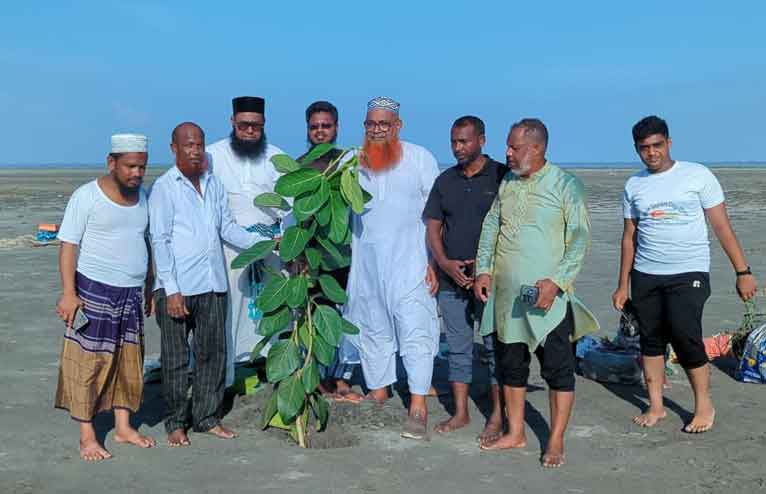 বঙ্গোপসাগরে জেগে ওঠা চর বিজয়ে জামায়াতের বৃক্ষরোপণ