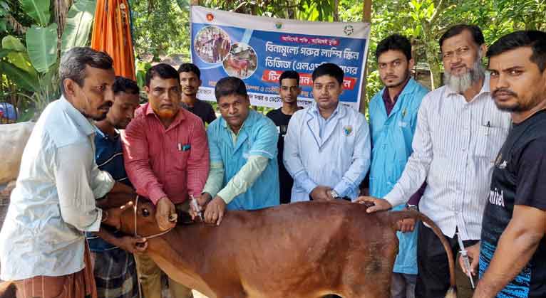 গৌরনদীতে বিনামূল্যে গরুর লাম্পি স্কিন ডিজিজ রোগের টিকা প্রদান