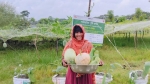 মহিপুরে পরিবেশবান্ধব কৃষি উদ্যোগে প্রান্তিক পরিবার স্বাবলম্বী