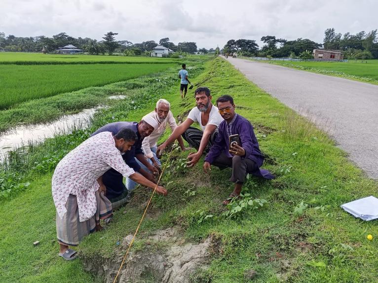 কুয়াকাটায় বাতিঘরের উদ্যোগে ৫ শতাধিক তালের বীজ রোপণ