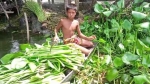 নাজিরপুরে কচুরিপানার ডগায় আয় হচ্ছে বৈদেশিক মুদ্রা, রপ্তানি ২৫টি দেশে