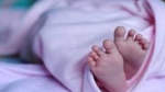 তালতলীতে সিজারে নবজাতকের পেট-মাথা কেটে মৃত্যু