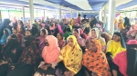 কলাপাড়ার চাকামইয়া মহিলা দলে মোশাররফকে এমপি করার অঙ্গীকার