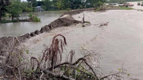 কলাপাড়ায় বেড়িবাঁধ বিধ্বস্ত, ১২ গ্রামের কৃষকের ফসলহানির শঙ্কা