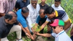 কাউখালীতে বিএনপির প্রতিষ্ঠাবার্ষিকীতে বৃক্ষরোপণ কর্মসূচি