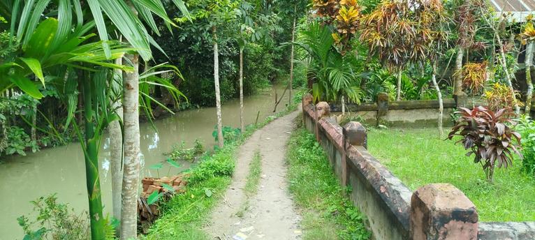 নেছারাবাদে শতবর্ষী রাস্তা সংস্কারে বাধা, এলাকাবাসীর ভোগান্তি