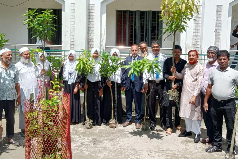 বাবুগঞ্জ ডিগ্রি কলেজে শিক্ষার্থীদের মাঝে আম চারা বিতরণ