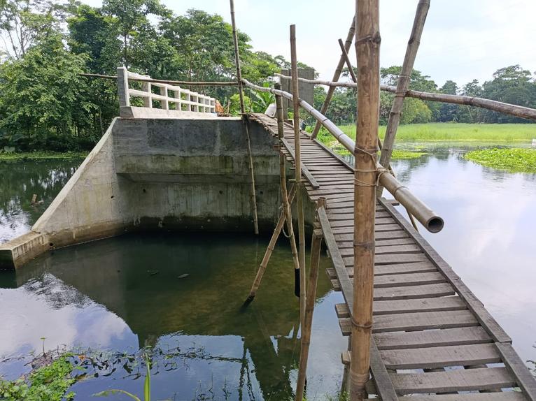 আগৈলঝাড়ায় ২৭ লক্ষ টাকার ব্রীজে মই বেয়ে পারাপার