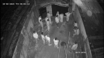 ছাতকে বৈষম্যবিরোধী ছাত্র আন্দোলনের নেতাকে ফাঁসানোর চেষ্টা!